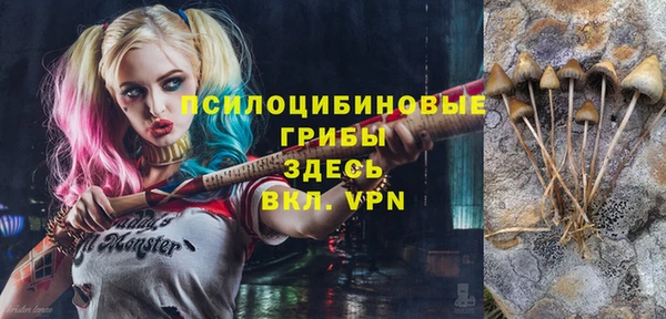 Альфа ПВП Магас