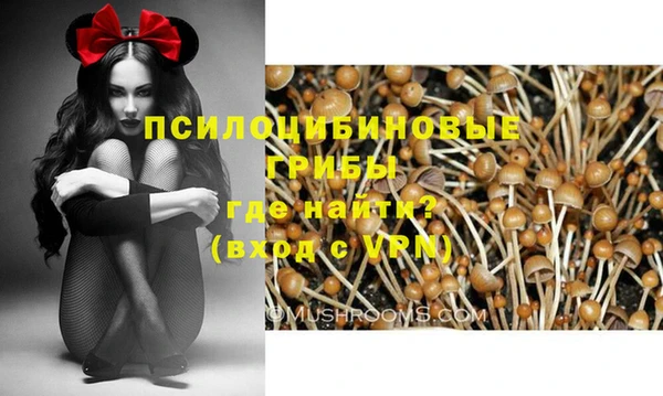 МДПВ Майский