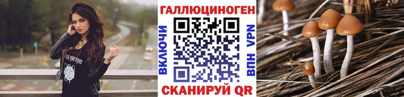 Галлюциногенные грибы Cubensis Купить где Ишимбай